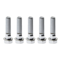Rear Pulley Bolt Kit – Chrome. Fits H-D 1984up.